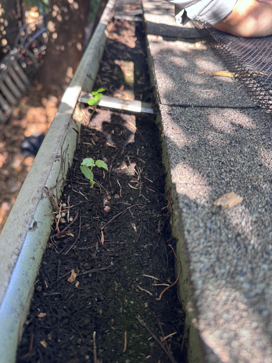 Gutter channel cleaning before cleaning